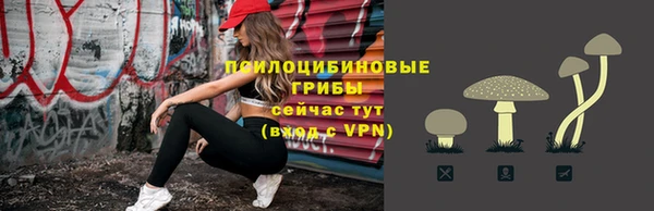 МДПВ Арсеньев