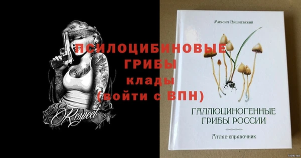 МДПВ Арсеньев